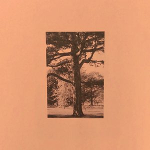 日本老肥婆BBBWBBBW百度
